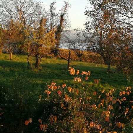 Haus Meersburg Garten מראה חיצוני תמונה