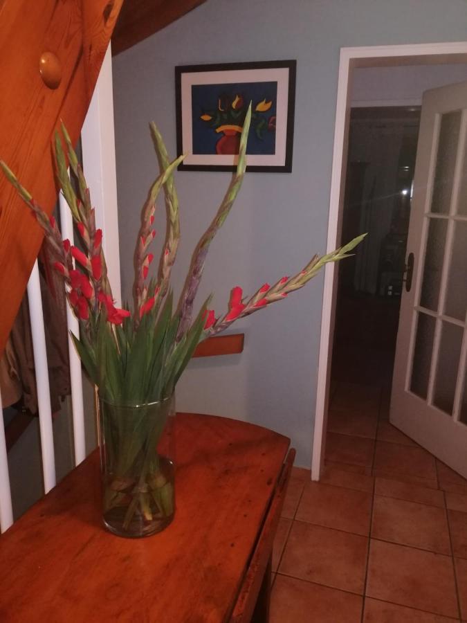 Haus Meersburg Garten מראה חיצוני תמונה