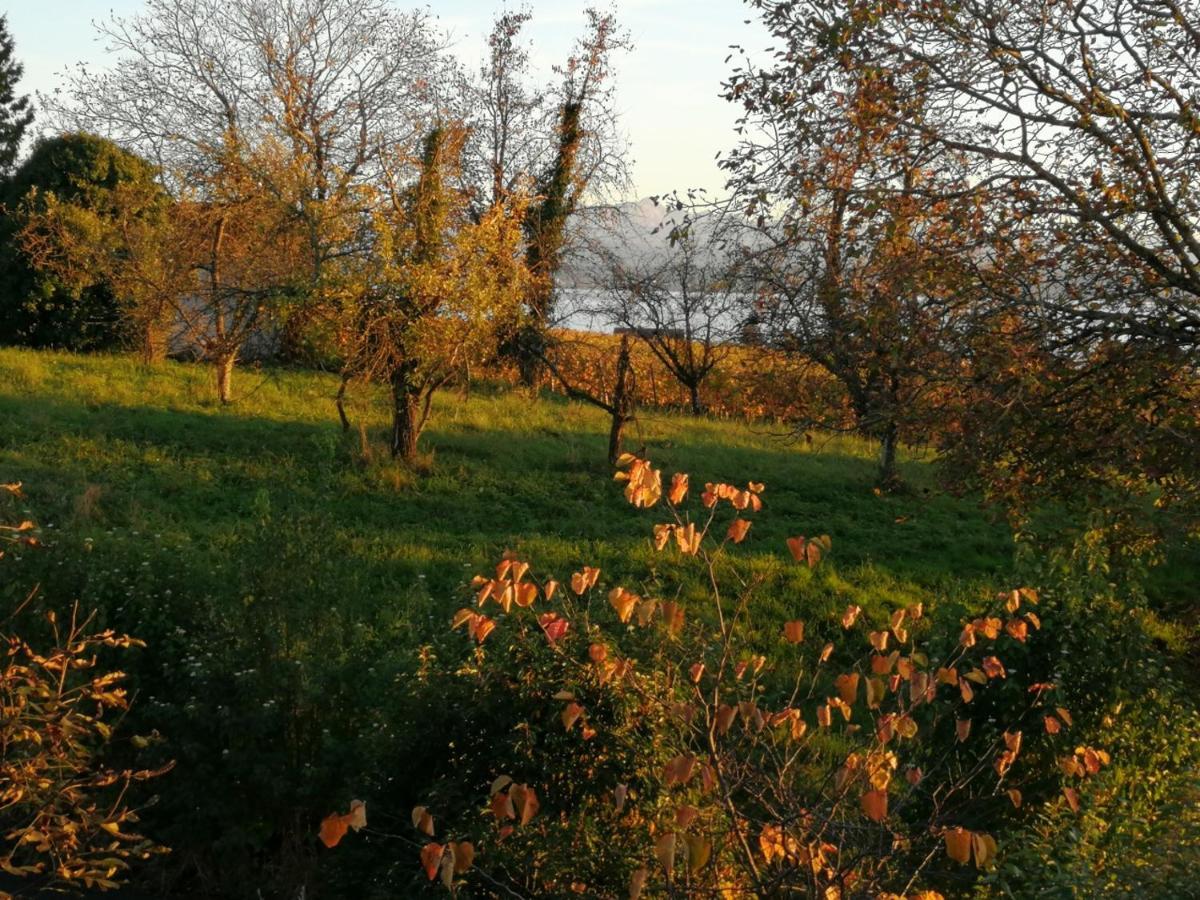 Haus Meersburg Garten מראה חיצוני תמונה