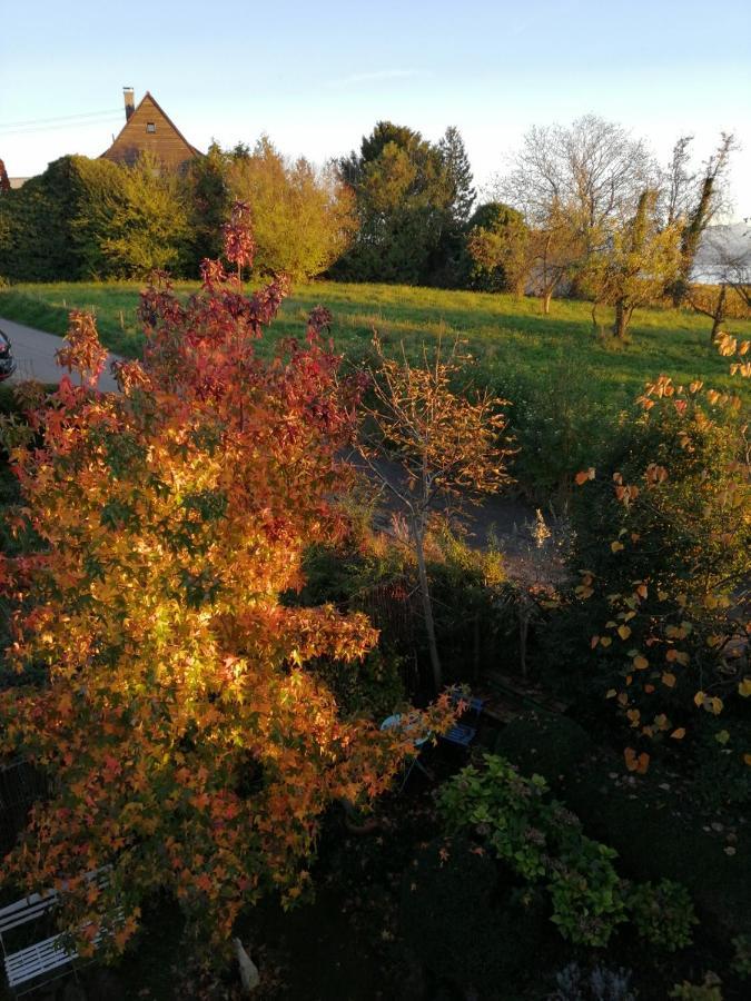 Haus Meersburg Garten מראה חיצוני תמונה