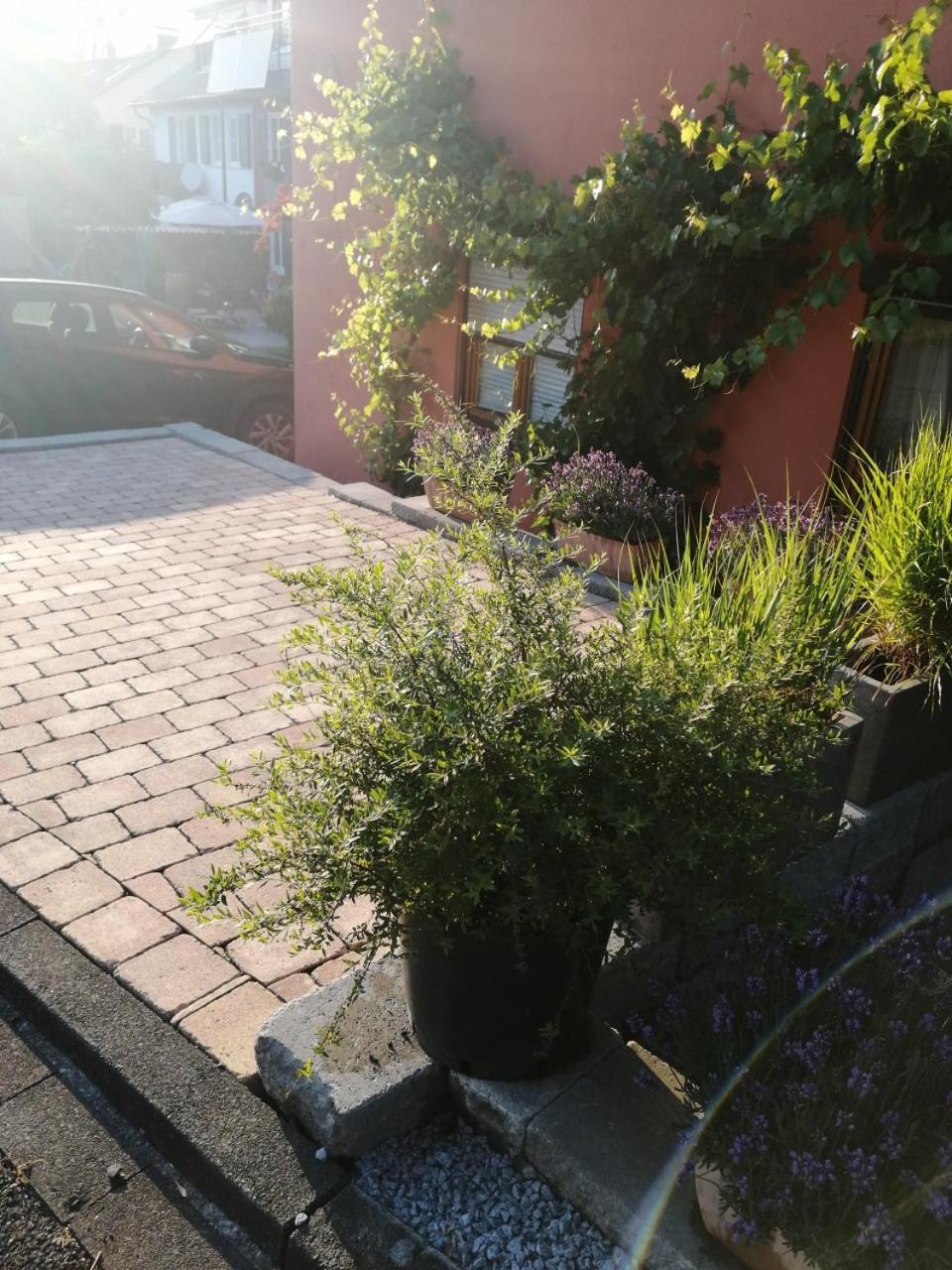 Haus Meersburg Garten מראה חיצוני תמונה