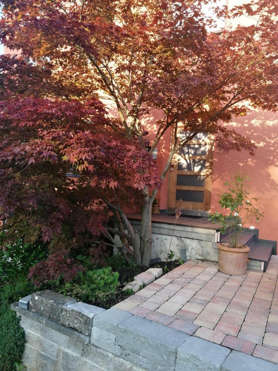 Haus Meersburg Garten מראה חיצוני תמונה
