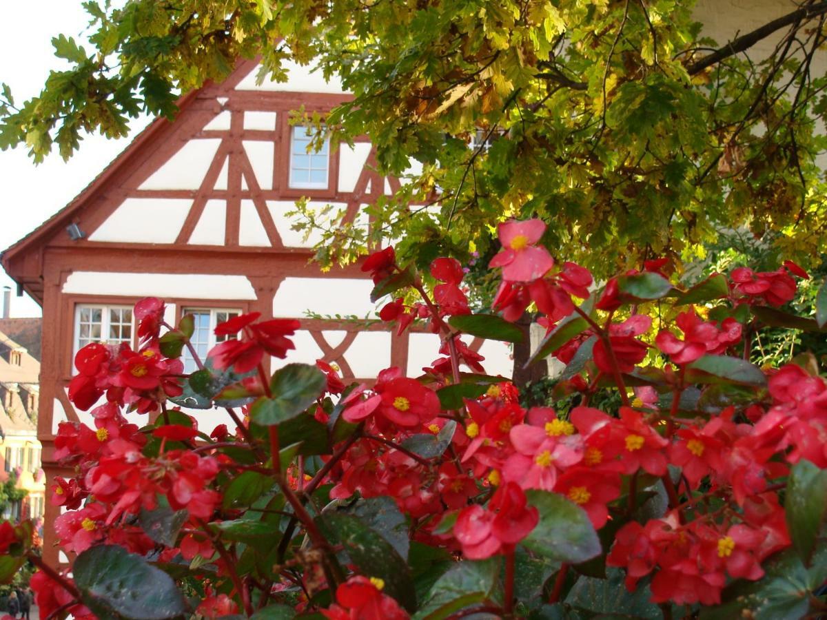 Haus Meersburg Garten מראה חיצוני תמונה